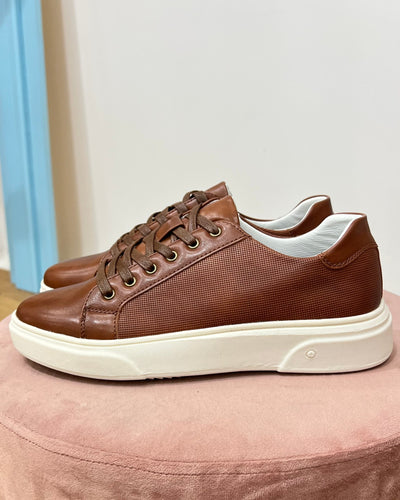 sneakers gsy118